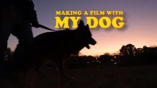 Making a FILM with my DOG (Nikon Z6III 24-Hour Shortfilm Challenge)