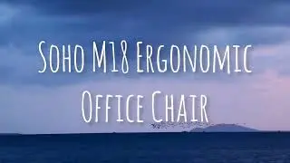 Sihoo M18 Ergonomic Chair Review