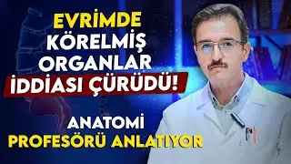 Evrimde Körelmiş Organlar İddiası Çürütüldü! Tartışmalara son verecek video. Prof. Dr. Hakan Atalgın