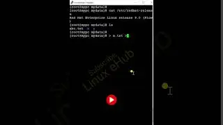 Create Multiple Files 🤩 in Single Command - For Advanced User 🔥 