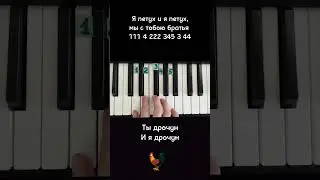 Я петух и петух мы с тобою братья мем на пианино 🎹 Обучение