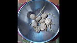 How To Prepare Seed Potatoes For Planting