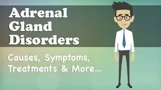 Adrenal Gland Disorders - Causes, Symptoms, Treatments & More…