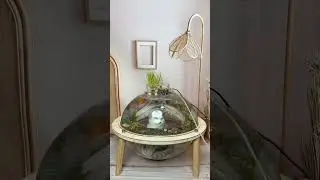 Никогда не надоест