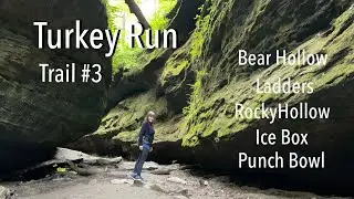 Exploring Turkey Run State Park in Indiana | Favorite Hiking Trail | Sharing Memories From My Past