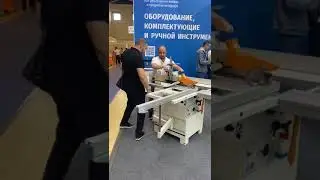 Круглопильно-фрезерный станок Minimax st 1g от SCM (Италия)