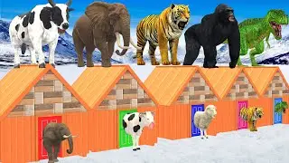 Don't Choose Wrong Door With Elephant Cow Lion Gorilla ESCAPE ROOM CHALLENGE Animals Cage Game