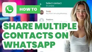 How to Share Multiple Contacts on Whatsapp (2024) - Easy Guide