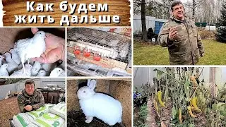 Как будем жить дальше? В шоке от цен на корма!!!!!