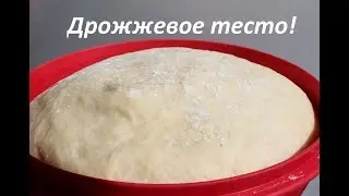 Дрожжевое безопарное тесто. Воздушное, пористое! Простой рецепт и выпечка будет пышной!