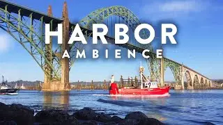 Relaxing Harbor Ambience - 8 hour Harbor Soundscape of Gentle Waves, Birds, and Ambient Ocean Sounds