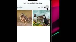 NativeScript CollectionView - Customizing how cells display including dynamically changing layout