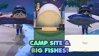 Campsite & Big Fish! - Animal Crossing New Horizons