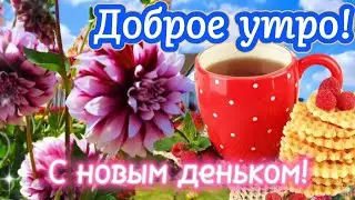 🌺 Доброе Утро! 🤗 Пусть Мечты воплотятся в реальность! 🍒 🌸 Красивые пожелания Хорошего Дня 👌