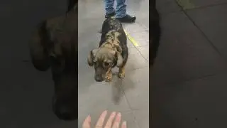 я встретила ее на почте и не смогла оставить там. 