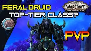 Druids are REALLY Strong in Shadowlands PvP - Here's Why