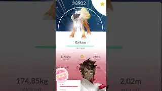 Maxing my Shundo Raikou in Pokémon GO!