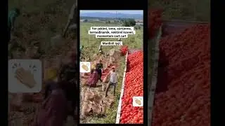 Mardinli İşçi