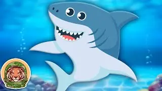 Learn EVERYTHING you need to know about sharks! | Animal Song For Kids | KLT WILD