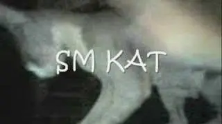 SM Kat