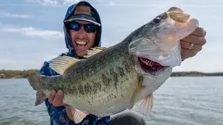 My Favorite Fishing Style! Big Bass in Stained Water