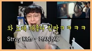 여러분이 찾는 그 리액션ㅋㅋㅋ Stray Kids(스트레이 키즈) - MANIAC 리액션 reaction