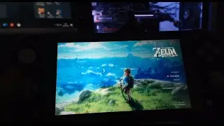 The Legend of Zelda: Breath of the Wild | Opening 20 Minutes of Gameplay (Switch Lite)