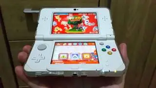 New Nintendo 3DS dual-IPS display!