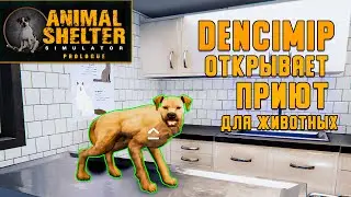 Открываю свой приют для брошенных животных в Animal Shelter Prologue (Первый взгляд)