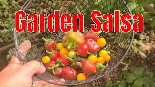 Easy Garden Salsa (Devo Garden's)