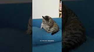 Тренировка 4/25. С каждым разом становится всё легче