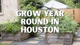 Houston Gardening Tips: Learn What to Plant Each Month