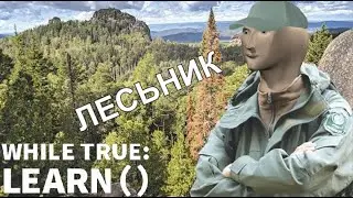 { СТАЛИ ЛЕСНИКАМИ }—{ While True: learn() }–{ #4 }