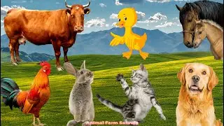 Discover Domestic Animals: Cat, Duck, Horse, Chicken, Cow - Animal Sounds