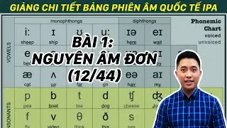 Cùng Học Phát Âm Tiếng Anh - Bảng Phiên Âm Quốc Tế IPA [BÀI 1: 12 Nguyên Âm Đơn) - Tiếng Anh 60 Phút