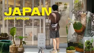 Plant Shop Tour JAPAN | unique houseplants and ceramics