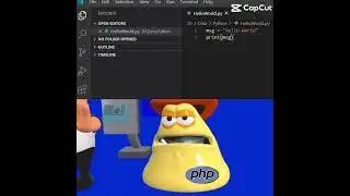 I’ve mastered Python 