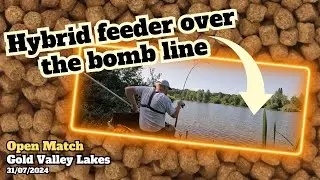 Match Fishing 31/07/2024 | Gold Valley Lakes | Gold Lake