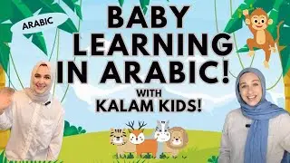 NEW Arabic Baby Learning - First Words, Songs and Nursery Rhymes for Babies - Toddler Videos