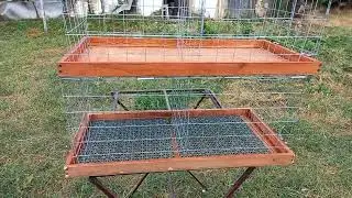 #pigeons. Купил SUPER клетку для голубей на птичьем рынке в г. Кропоткин !!!