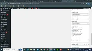 How to hide page title in astra wordpress theme