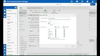 On Command System Manager - create NFS share