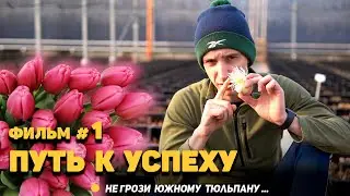 Не грози южному тюльпану... фильм #1