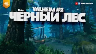 Чёрный лес / VALHEIM