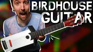 I Made A BIRDHOUSE GUITAR For Obvious Reasons