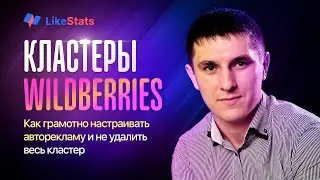 Кластеры WIldberries. Как грамотно настраивать авторекламу и не удалить весь кластер.