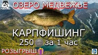 🌟ОЗЕРО МЕДВЕЖЬЕ 🌟 КАРПФИШИНГ🌟250 СЕРЫ ЗА 1 ЧАС🌟Русская Рыбалка 4 (РР4)🌟