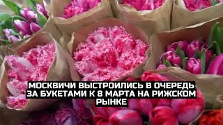 Москвичи выстроились в очередь за букетами к 8 Марта на Рижском рынке