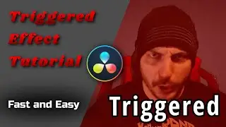 Davinci Resolve - How To Do TRIGGERED Meme Effect