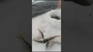 Брат вместе сыном на рыбалке.